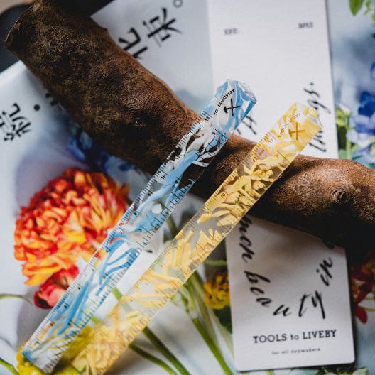 ruler / blue & white - Ruler