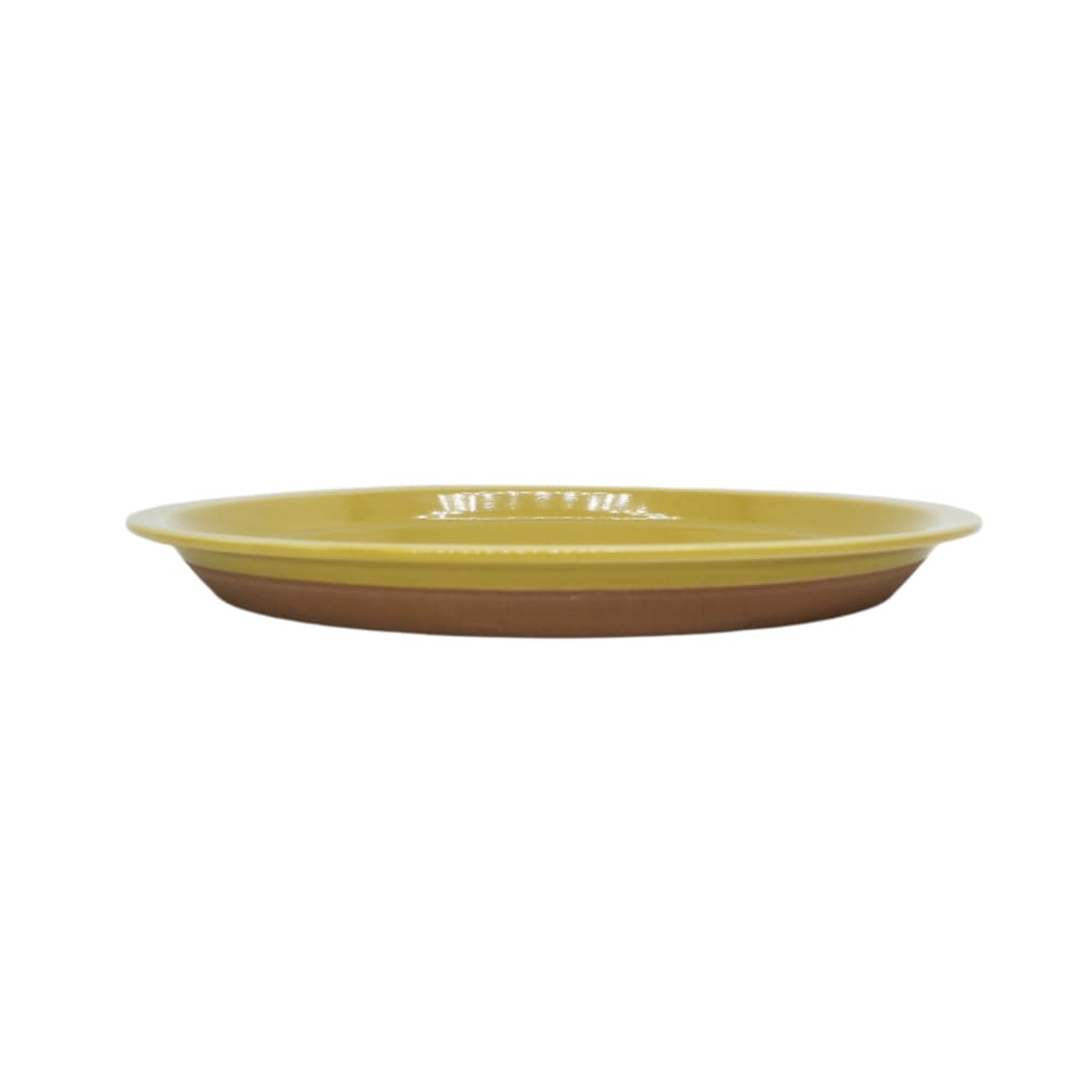 CHIPS PLATE L - solid mustard