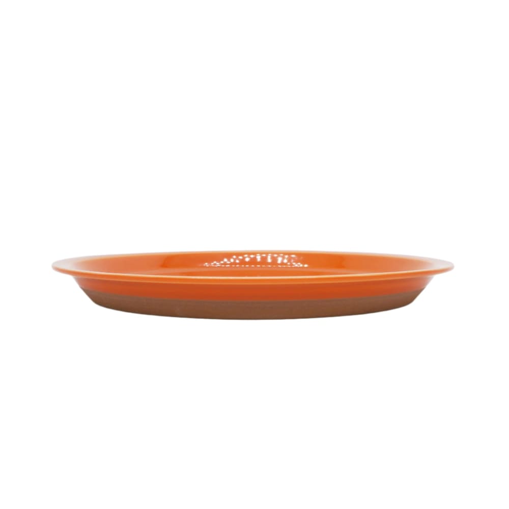 CHIPS PLATE L - solid orange