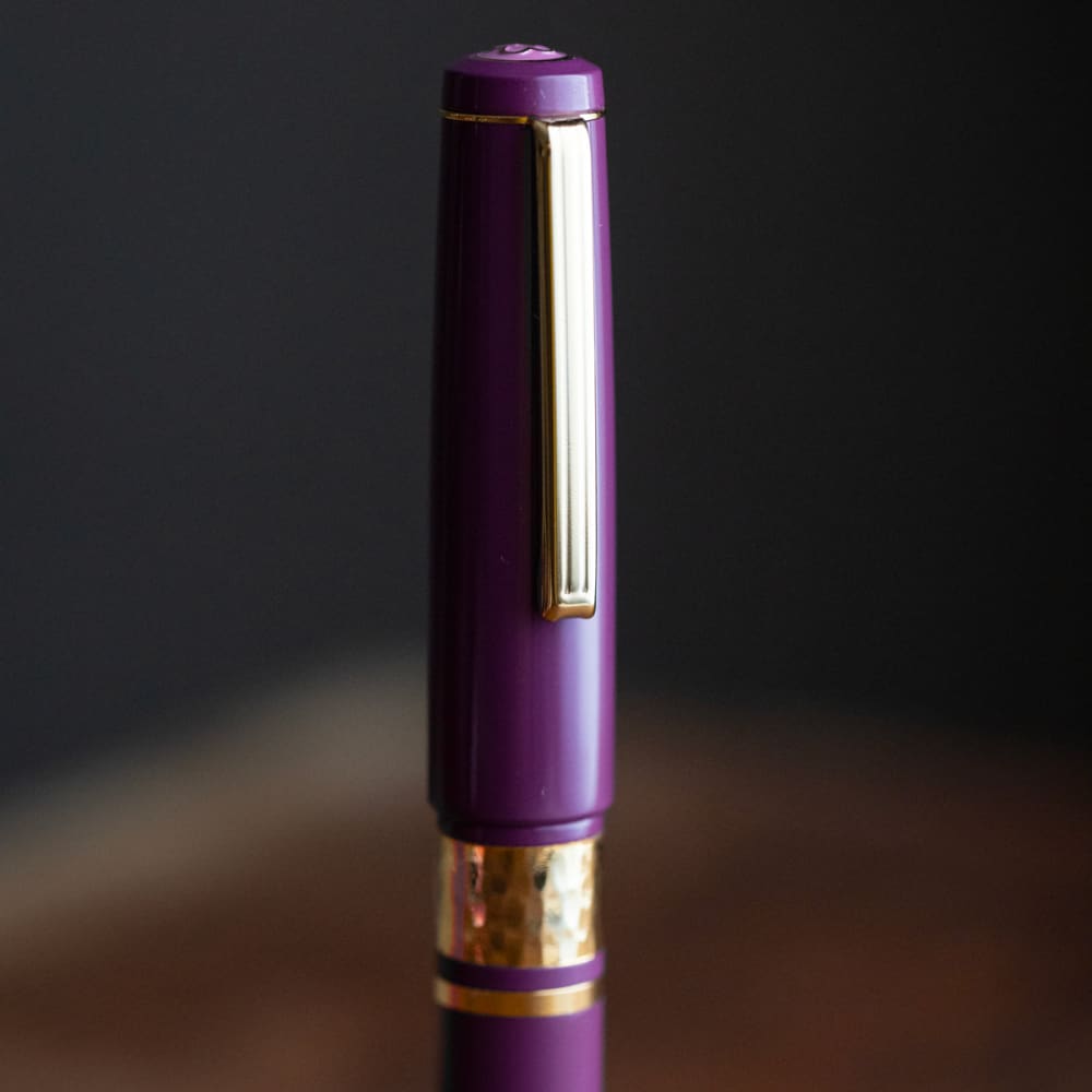 Model J Blackberry Ebonite with Gold trim - Fine - FOUTAIN