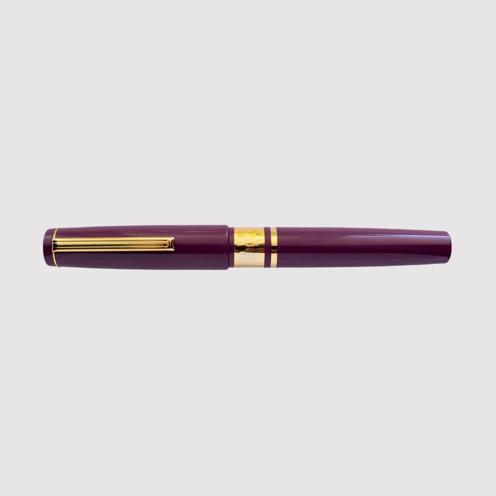 Model J Blackberry Ebonite with Gold trim - Fine - FOUTAIN