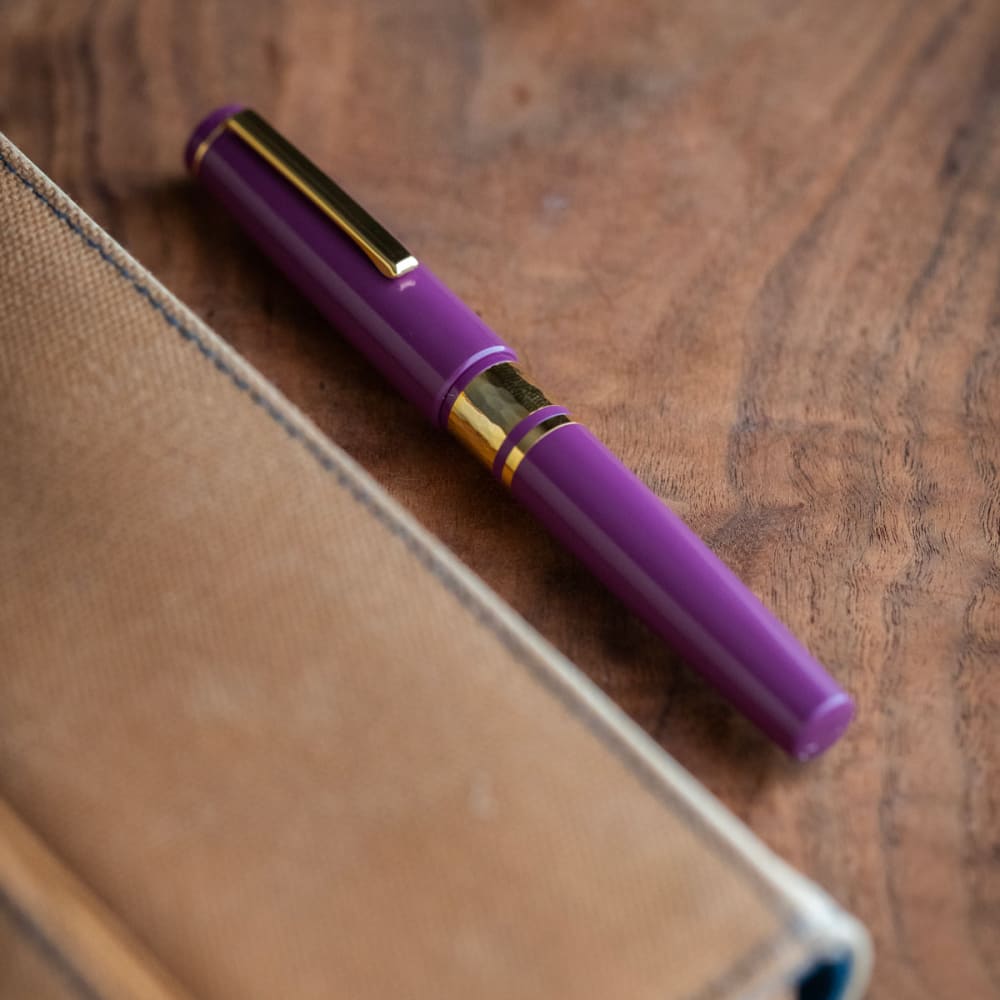 Model J Blackberry Ebonite with Gold trim - Fine - FOUTAIN