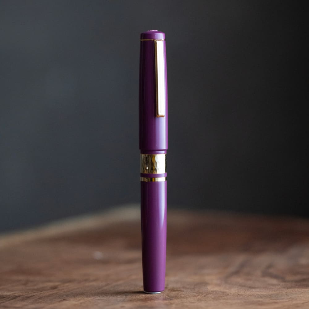 Model J Blackberry Ebonite with Gold trim - Fine - FOUTAIN